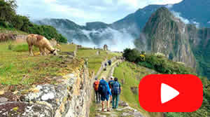 Video del Tour