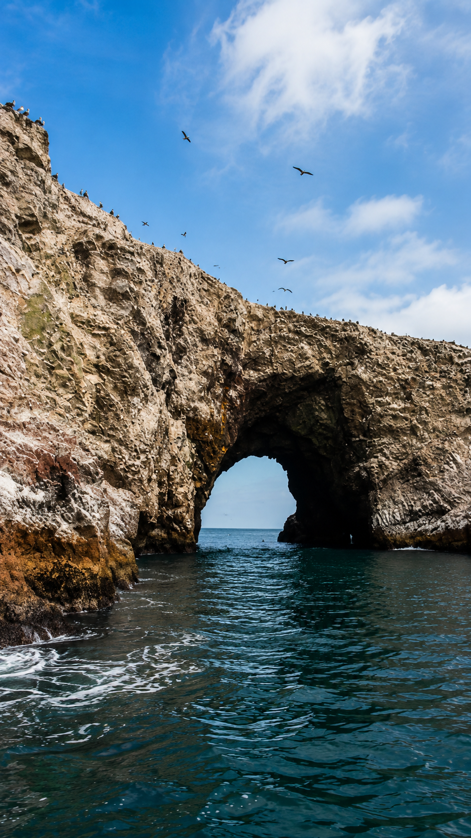Tour Islas Ballestas – Ica – Lineas de Nazca
